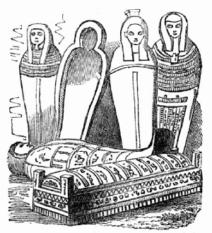 Mummy Cases